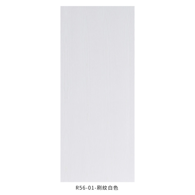 房間門 R56 白色 平面 現代